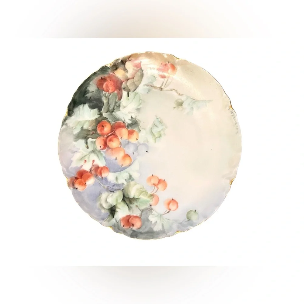 Haviland France Limoges Porcelain Decor Plates - Early 1900s